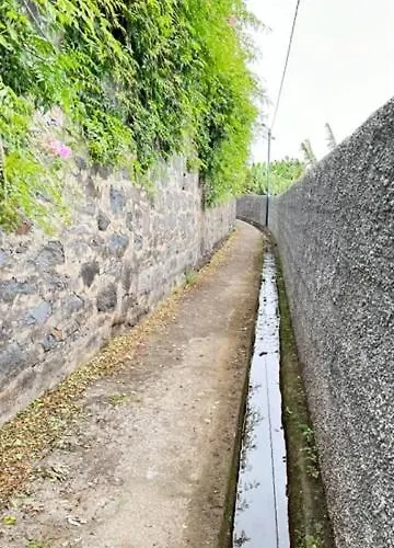 Seaview House-quiet, 7 Mins To Town, Stunning View فونشال